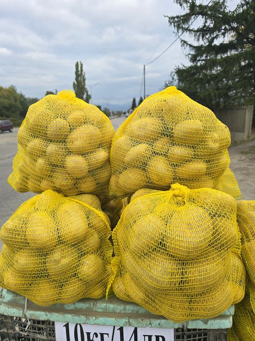 Картоф от Самоков, нова реколта, различни сортове, топ качество