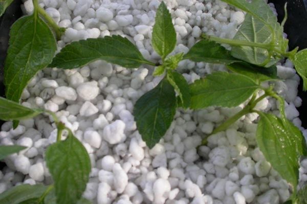 Агроперлит Иран прямые поставки завода