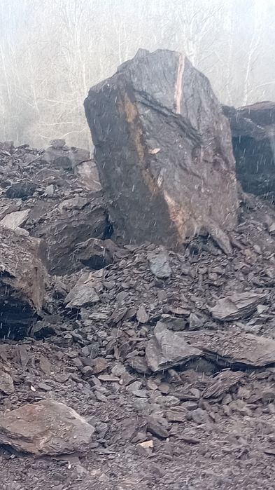 Carbune lignit pentru centrare