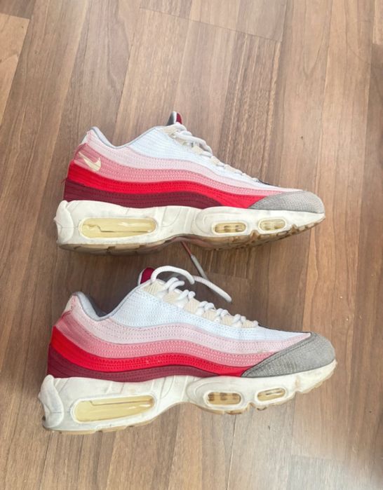 Air max 95 Anatomy of Air