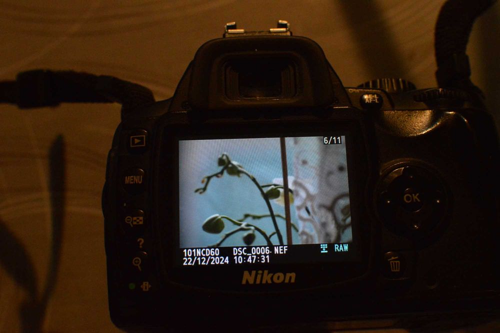 Vand Nikon D60 cadre 32000