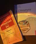 Set cărți eseuri literatură română pentru BAC