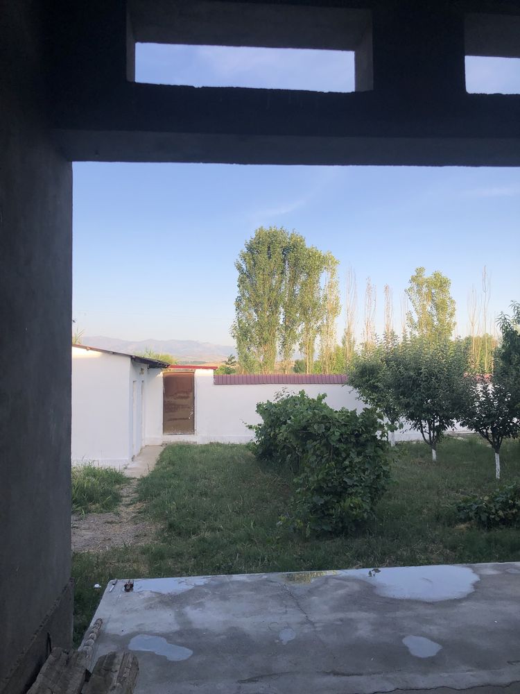 Kotej yangi 6 sotix