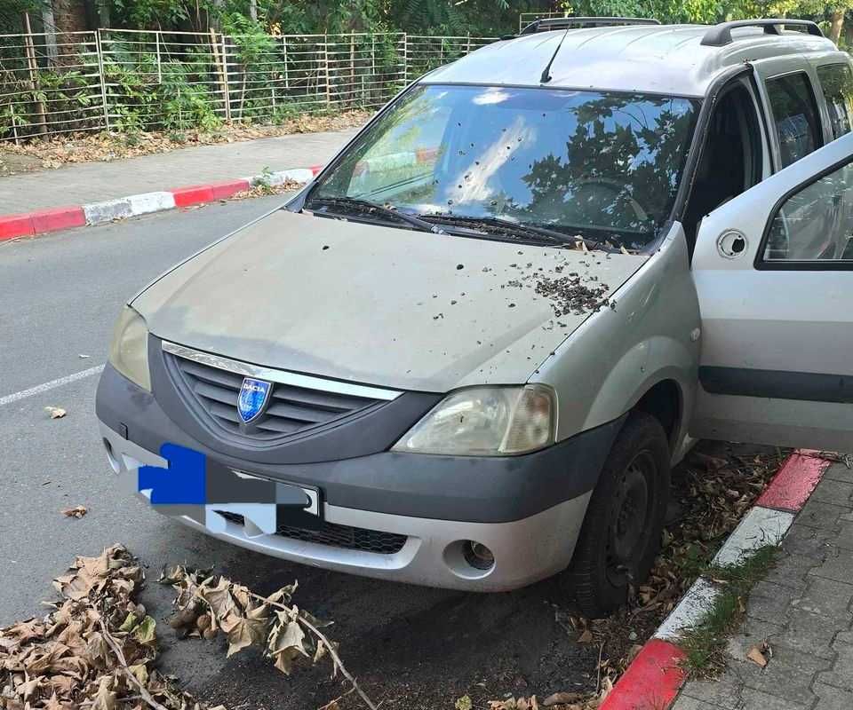 Dacia Logan 1.5 DCI На части