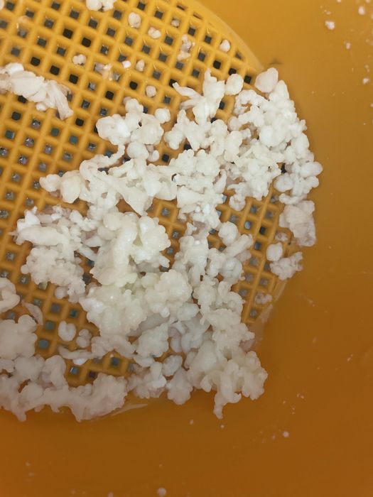 Ciuperca Tibetana pentru kefir