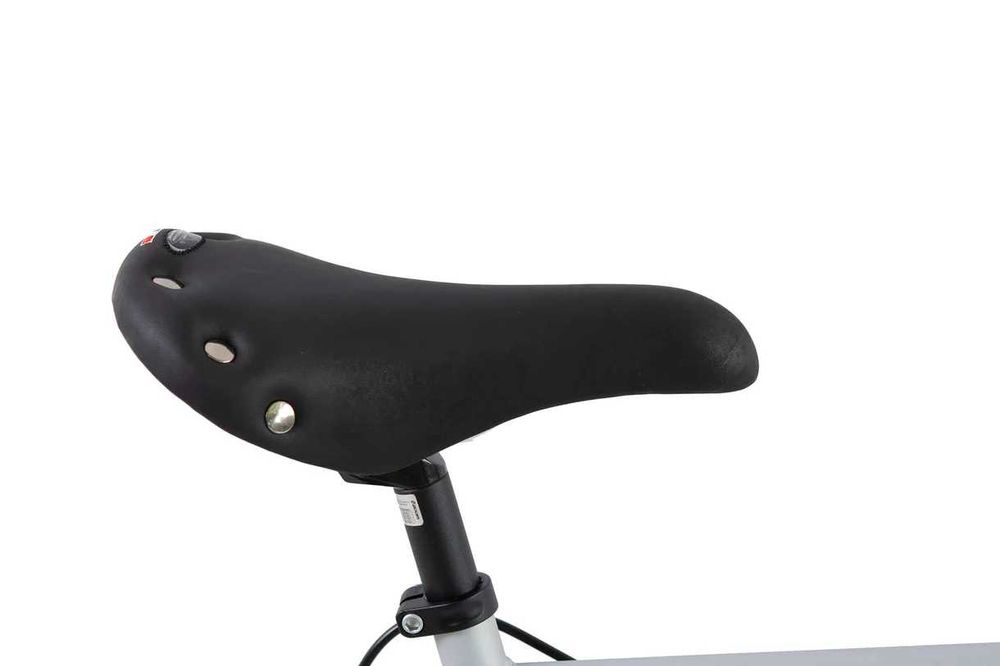 Мъжки градски велосипед Dynabike Urban Jet Fixie R59 28'', сив