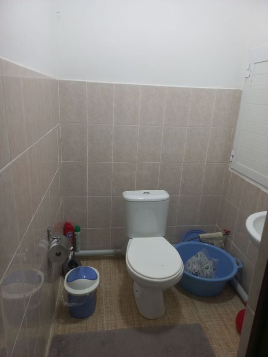 O'rikzor bozir yonida