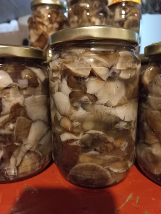 Ghebe  pentru gătit!