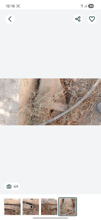 Йагуар 850 орка пердоки