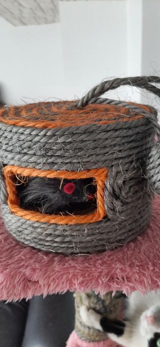 Jucărie pentru pisici