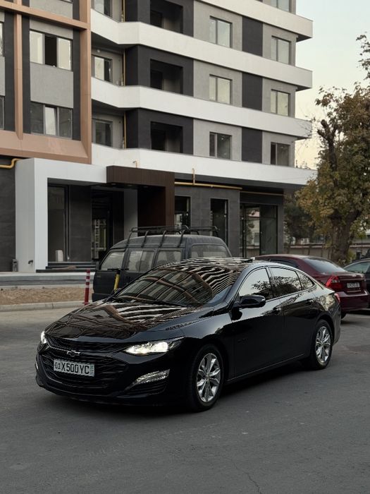 Malibu 2 Xl krasska tozza 2023