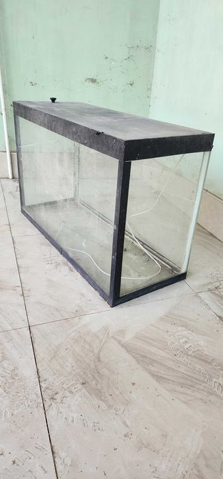 Аквариумные рыбки