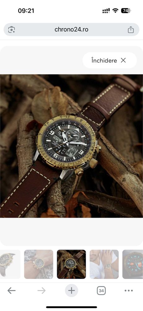 Citizen Promaster Sky