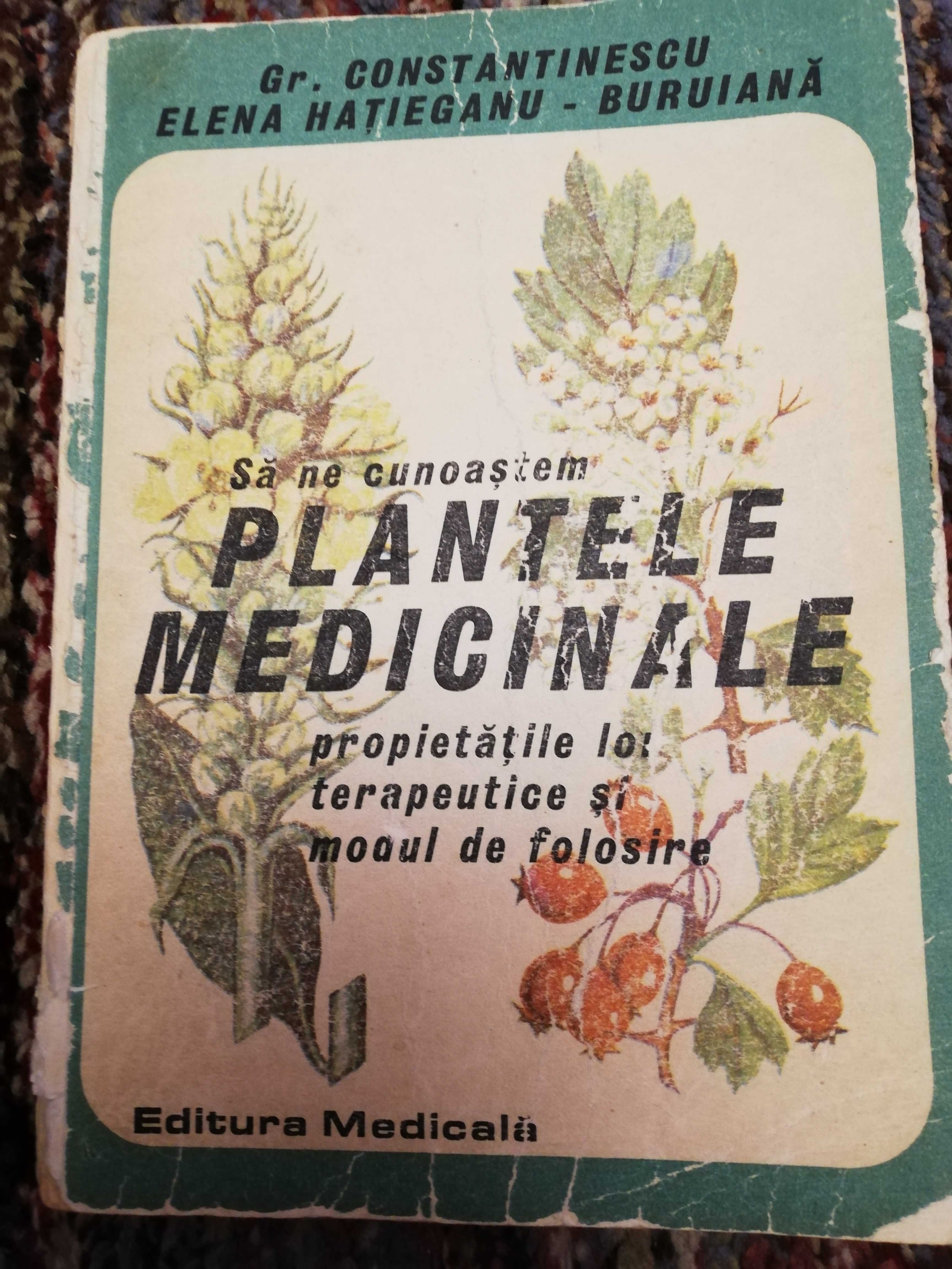 Sa ne cunoastem plantele medicinale - proprietatile lor terapeutice