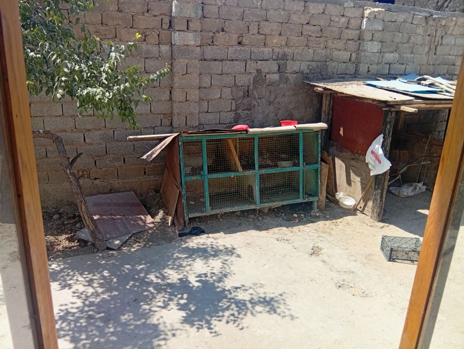 Купон ни сотилади