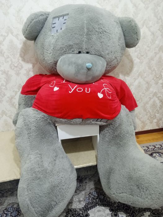Yumshoq teddy sotiladi.