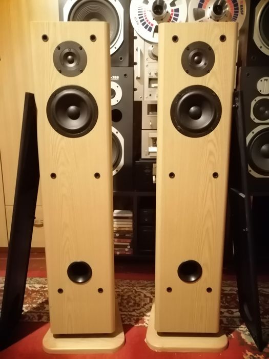 Boxe Sherwood 100 w, bas reflex, 3 cai