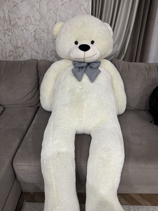 Мишка большой, цена договорная