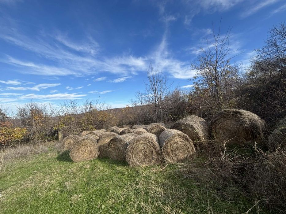 Ролни бали слама