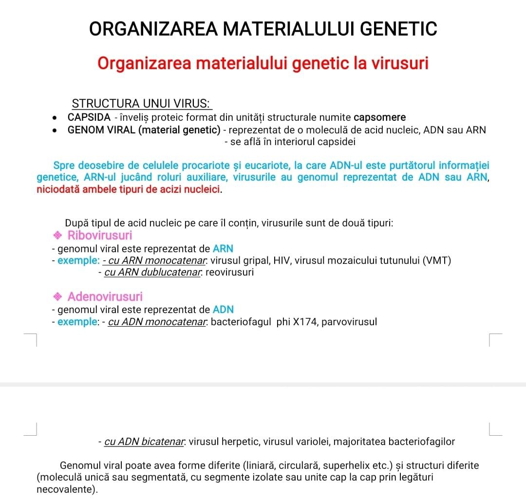 Dosar structurat pentru bacalaureat biologie (cls.XI-XII) - Anatomie