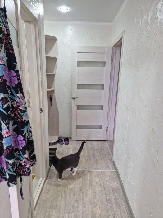 Двух комнатная квартира