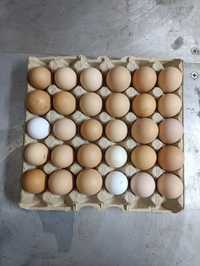 Продавам яйца от домашни кокошки