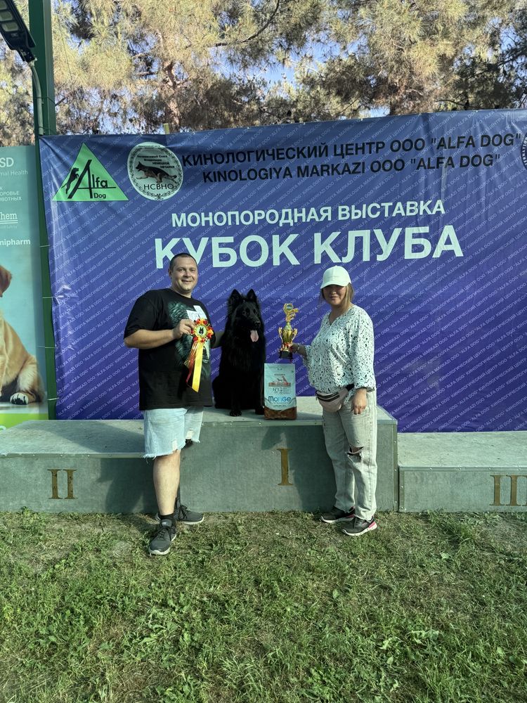 Команда кинологов ЧЕТЫРЕ ЛАПЫ