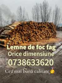 Lemne de foc fag, esență tare, taiate la orice dimensiune!