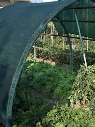Plasa 35%-40% Umbrire Verde:6x100m=1000lei; 9x100m=1500lei;14x50m=1169