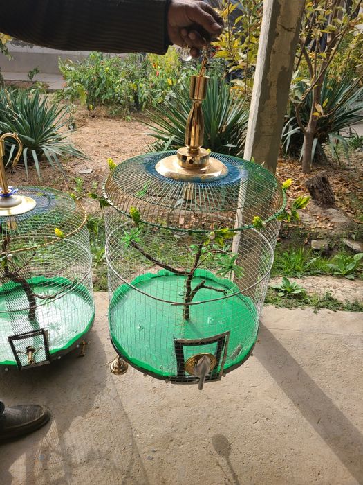 qafas sotiladi ruchnoy