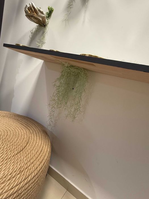 Vând URGENT mobilier & decor salon spa – vibe luxury & zen!