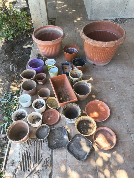 Много саксии употребявани