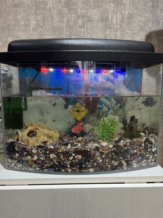 Продам аквариумы