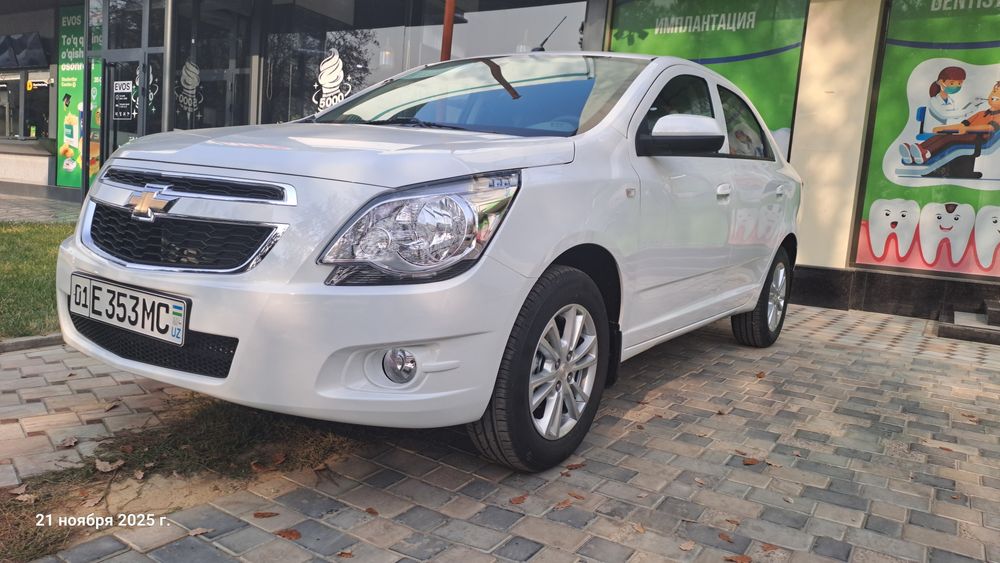 Cobalt MCM 2025 arenda