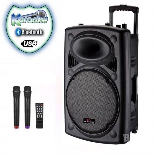 Караоке тонколона 12”, 15” и 18”