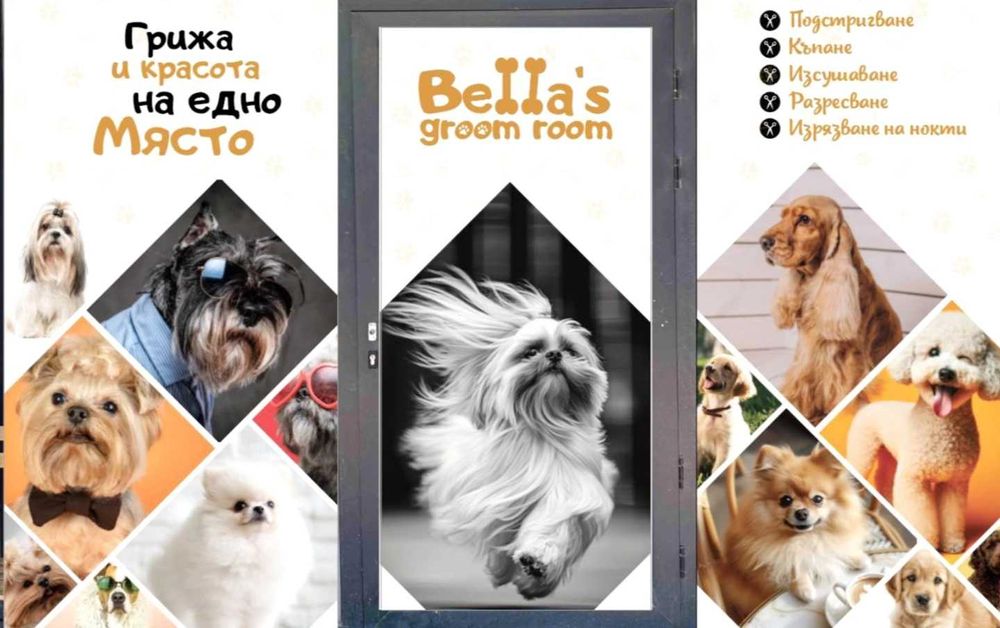 Груминг салон, цялостна грижа за домашни любимци