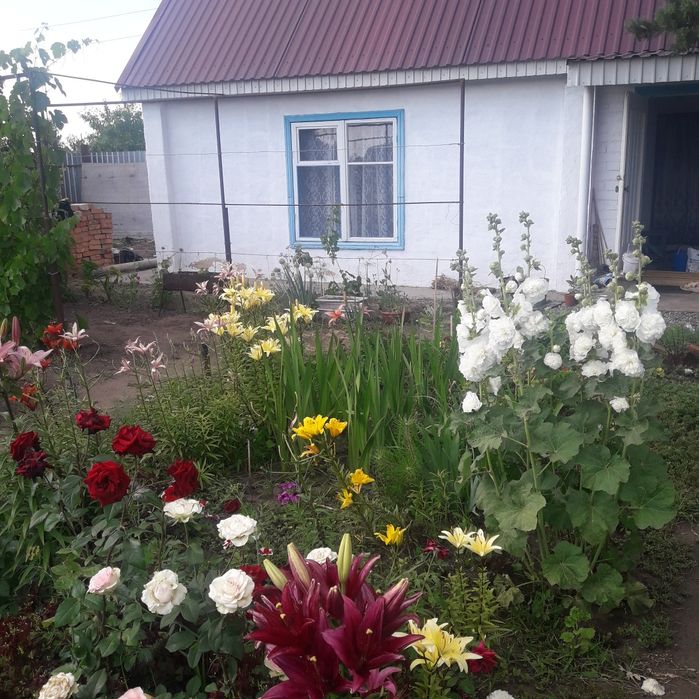 Продам дачу в СО Химик