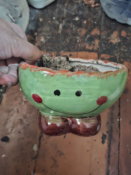 Гул Тувак ,горшки для цветов