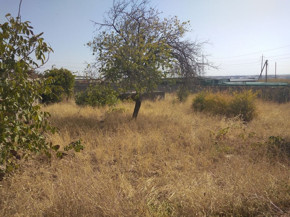 Продаётся  дачный  участок