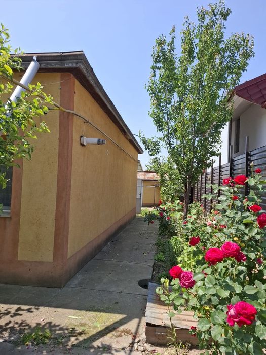 Vand casa in Botosani
