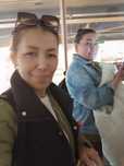 Услуги Клининга Уборка Дамов Коттеджей