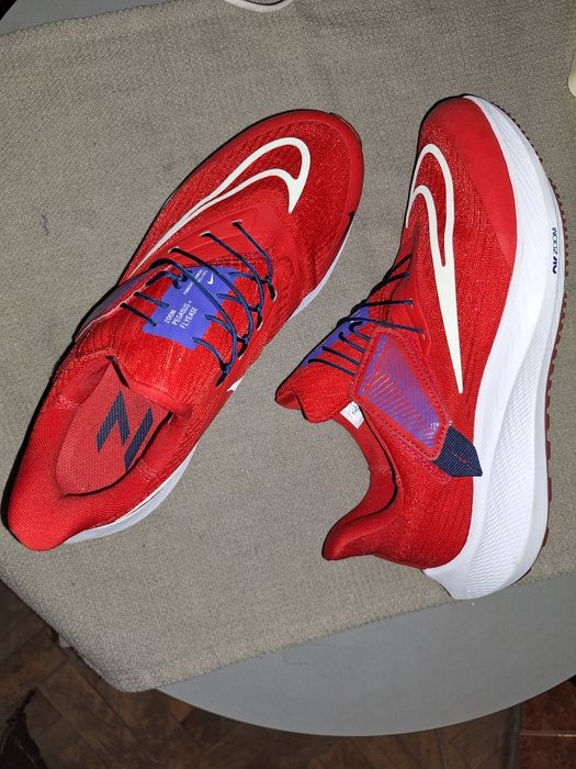 Model Nike  zoom pegasus flyease shoes