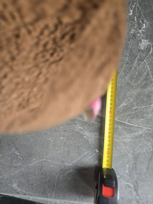 Masha and The Bear plus