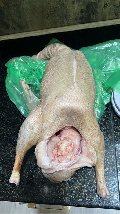 Продаю гусей  тушками иди живьем 15000 тыс тенге