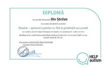 Shadow – ajutorul copilului cu TSA la grădiniță sau școală