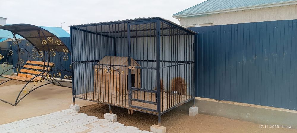 Валлер.Собака Дом