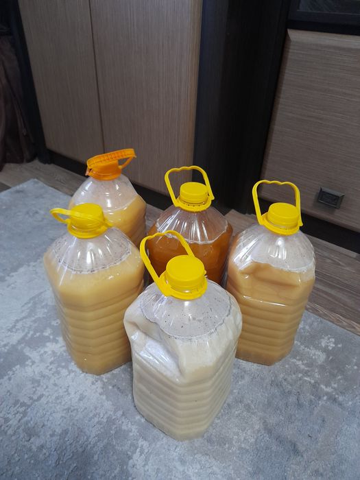 Продам мёд по 5л