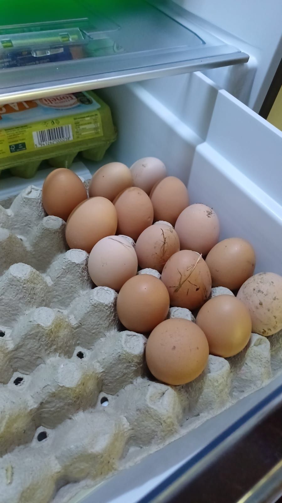 Ouă găină super bio