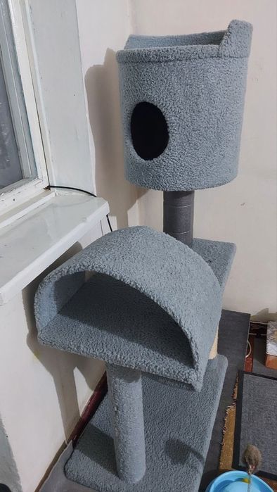 Кошачий комплекс