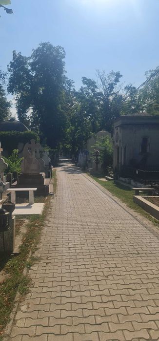 Concesionez loc de veci la Bellu pe aleea Artistilor